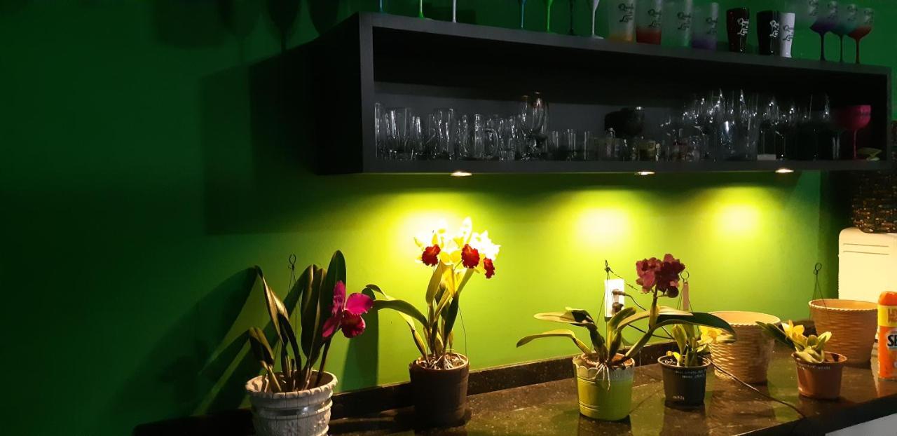 Quinta Do Lapa II Lägenhet Florianópolis Exteriör bild